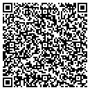 QR code with Multiservice contacts