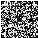 QR code with Cjs Billiard Palace contacts