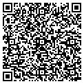 QR code with P H Co contacts