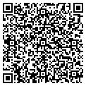 QR code with M Corp contacts