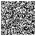 QR code with Bealls contacts