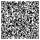 QR code with Prissdesigns contacts