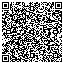 QR code with Profit Sales contacts