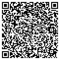 QR code with D Lea contacts