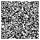 QR code with Public Store contacts