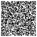 QR code with Publication Services contacts