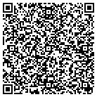 QR code with Professional Irrigation contacts