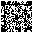 QR code with Prickly Pear contacts