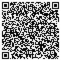 QR code with Pier 1 contacts