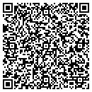QR code with Pyramid Distributors contacts