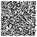 QR code with DFlans contacts