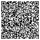 QR code with BNV Electric contacts