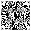 QR code with Pro Tek Electric Inc contacts
