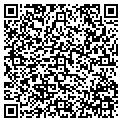 QR code with AMF contacts