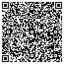 QR code with Pp & S Enterprise contacts