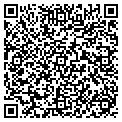 QR code with L P contacts