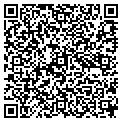 QR code with D-Foam contacts