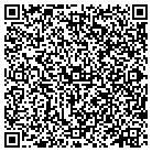 QR code with Bluespark Hr Consulting contacts