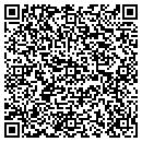 QR code with Pyroglobal Media contacts