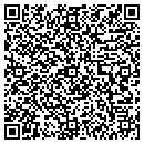 QR code with Pyramid Audio contacts
