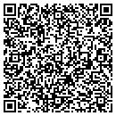 QR code with Purse Barn contacts