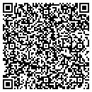 QR code with Punkass Repair contacts