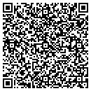 QR code with Precision Spas contacts