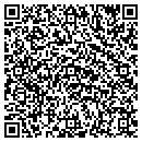 QR code with Carpet Wizards contacts