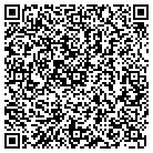 QR code with Public Safety Department contacts