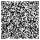 QR code with Pulliam Electric Inc contacts