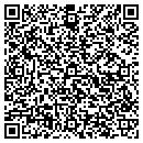 QR code with Chapin Consulting contacts