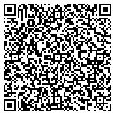 QR code with Cyndis Visual Images contacts
