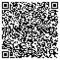 QR code with Ball-D contacts