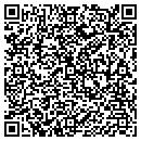 QR code with Pure Utilities contacts