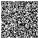 QR code with Brians Plumbing Inc contacts