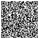 QR code with Pyramid Data Systems contacts