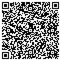 QR code with Pinatas contacts