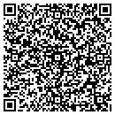 QR code with Cobra Security Inc contacts