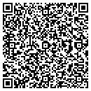 QR code with Cryogene Lab contacts