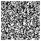 QR code with Pugsley Computer Service contacts