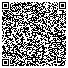 QR code with Professional Title Instal contacts