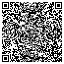 QR code with Prodrivers contacts