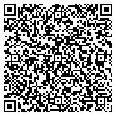 QR code with Precision Auto Frame contacts