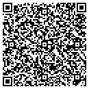 QR code with Professional Concrete contacts