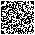 QR code with Patio Gallery contacts