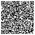QR code with Modis contacts