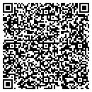 QR code with C O I Software Inc contacts