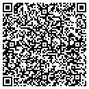QR code with Preferred Pool Inc contacts