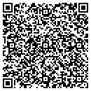QR code with Pyle Sherron Agency contacts