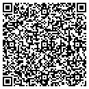 QR code with Carpet Gallery Inc contacts